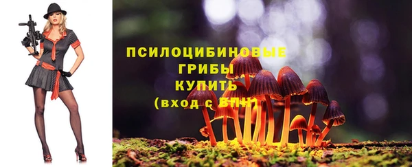 ALPHA PVP Кулебаки