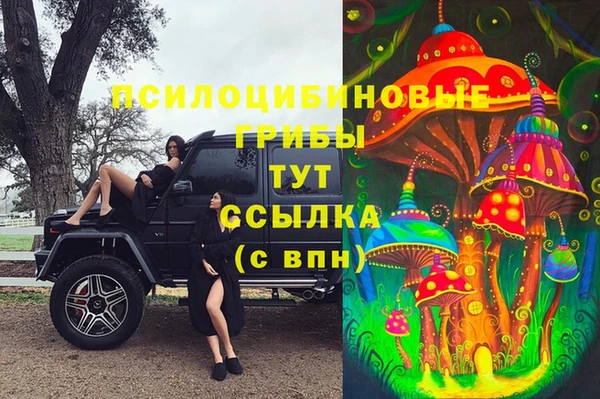 прущая мука Кукмор