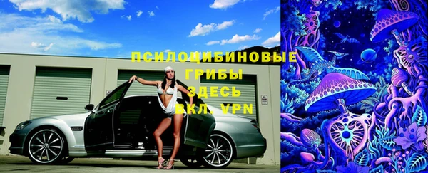 PSILOCYBIN Куйбышев