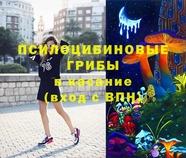 PSILOCYBIN Куйбышев