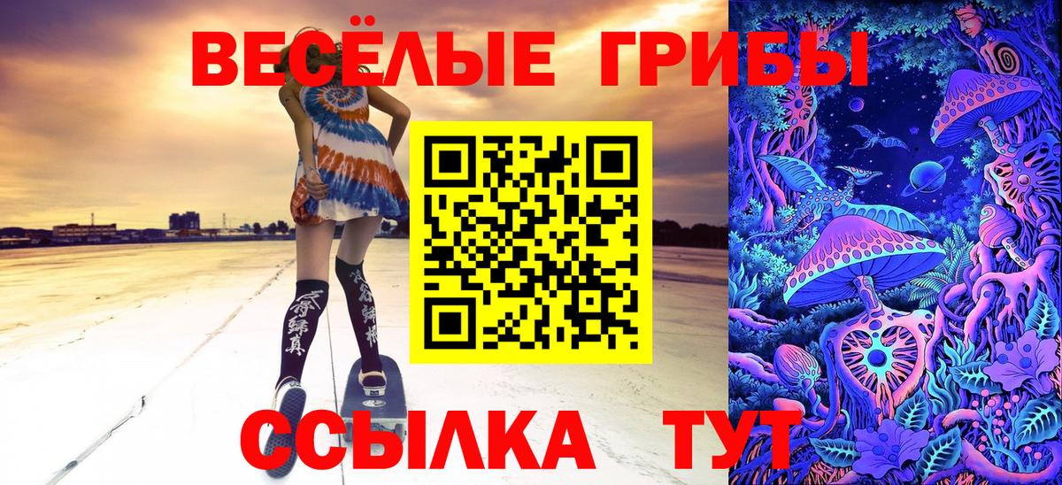 Галлюциногенные грибы ЛСД Тутаев