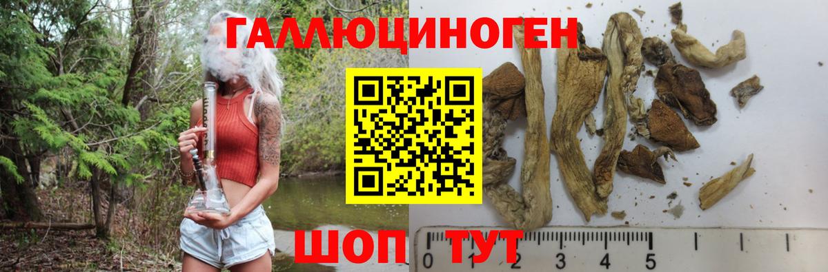 Псилоцибиновые грибы Magic Shrooms Тутаев