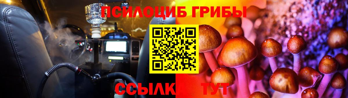 Галлюциногенные грибы GOLDEN TEACHER  Галлюциногенные грибы Magic Shrooms  Тутаев  Вход с VPN 