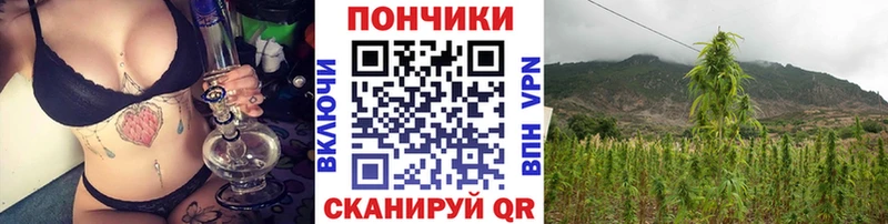 Бошки марихуана Bruce Banner  купить закладку  Тутаев 